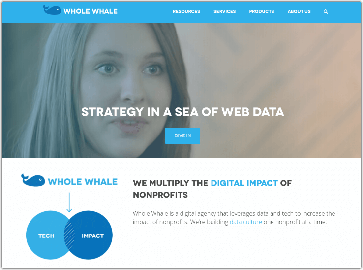 Get started with Whole Whale, a nonprofit technology consulting firm, today!